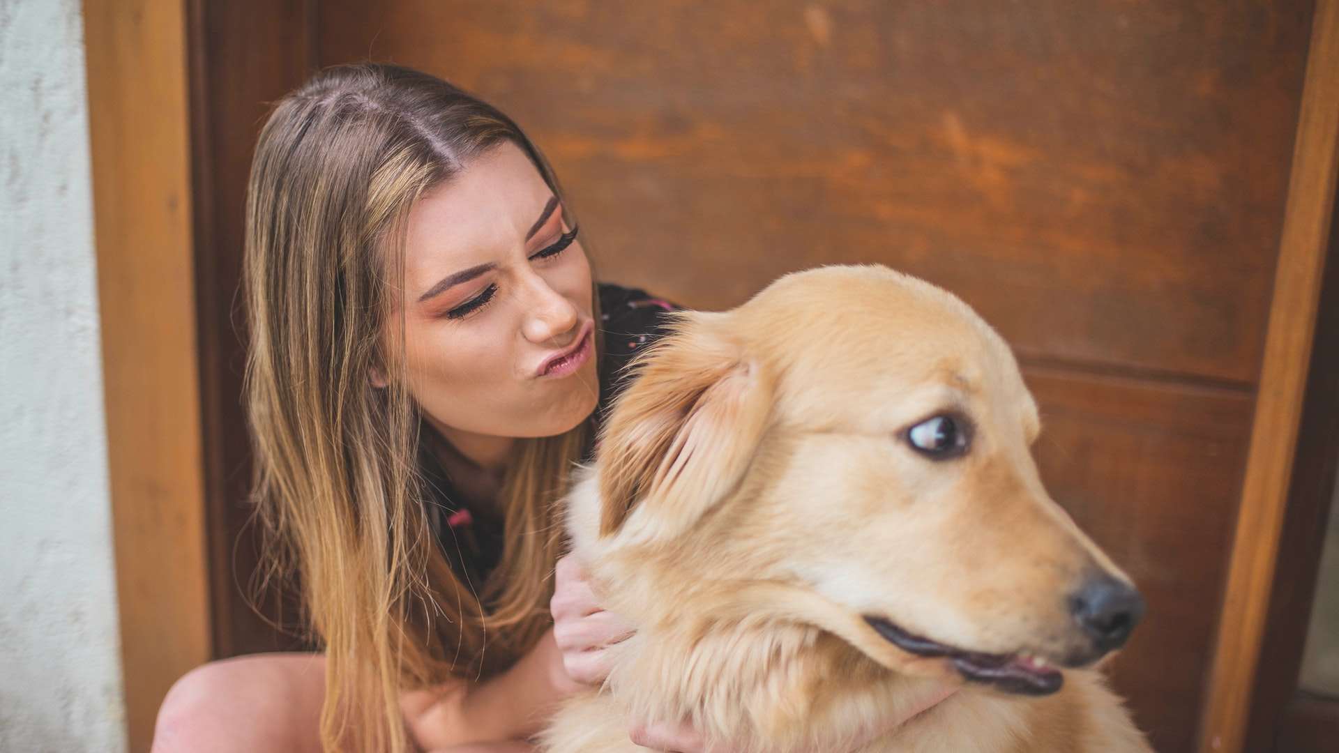 About Lone Star Dentistry Oral Surgery For Animals Vet In Webster TX